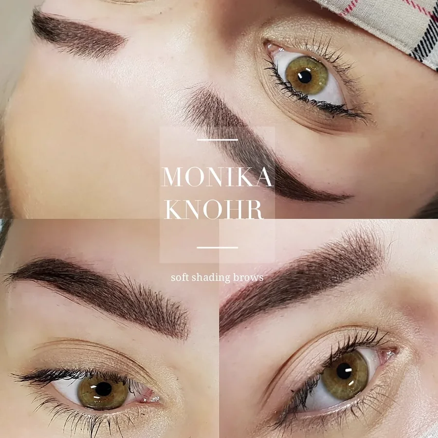 Powder Brows, Dichte am Kopf, feiner Auslauf